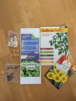 Samen Sonnenblumen Kürbis Spinat Garten Hochbeet Tonscheiben Nordrhein-Westfalen - Brilon Vorschau