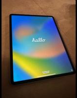 Apple iPad Pro 12.9" (6. Generation) 256GB wifi + Cellular i Altona - Hamburg Lurup Vorschau