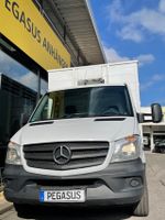 Mercedes-Benz Sprinter 516 Viehtransporter Pferdetransporter3,5t. Nordrhein-Westfalen - Gevelsberg Vorschau