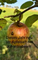 Apfelsaft Bio aus der Eifel 3 und 5ltr Rheinland-Pfalz - Hosten Vorschau