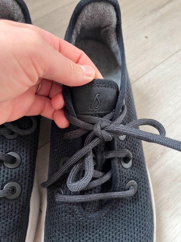 Allbirds Sneaker in Witten