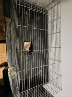 Käfige für Kaninchen/ Meerschweinchen Nordrhein-Westfalen - Mönchengladbach Vorschau