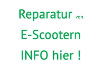 E-Roller-Reparatur Info für alle Marken Essen-West - Holsterhausen Vorschau