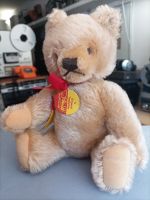 steiff originl teddybär 24cm Bayern - Augsburg Vorschau