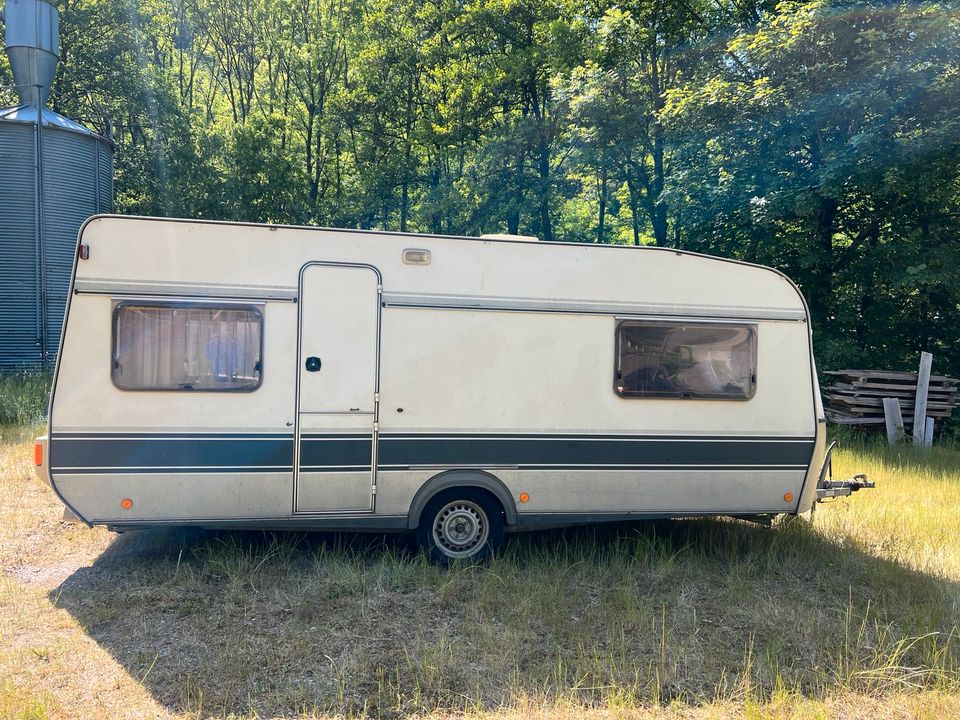 Fendt Joker E zu verkaufen! in Nürburg