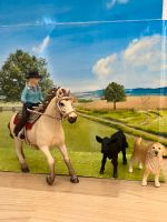 Schleich Western rodeo Dresden - Innere Altstadt Vorschau