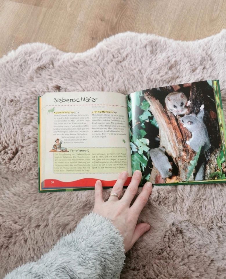 Kinder entdecken die Natur Buch Tiere Wald in Hösbach