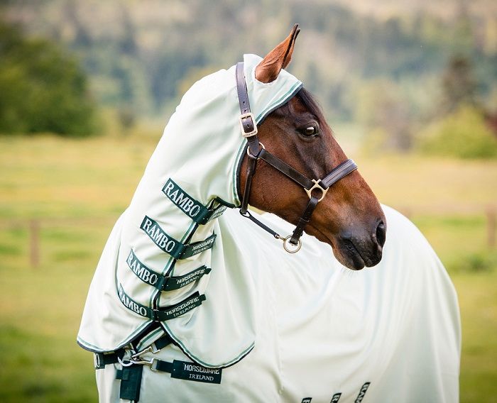 Fliegendecke, Ekzemerdecke Horseware Rambo Protector, Amigo Mio Fly, Rambo Hoody, Busse Sunshine II, Busse Strong 90,95,100,110,115,125,130,140,145,155,160,165 auch Big Size Neuware in Kempen