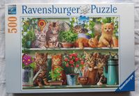 Katzen- Puzzle 500 Teile von Ravensburger, OVP Baden-Württemberg - Karlsruhe Vorschau