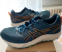 Asics Herrenschuhe Größe 43,5 Hessen - Wiesbaden Vorschau