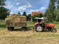 Heu in kleinen Ballen, Rundballen Brandenburg - Lebus Vorschau