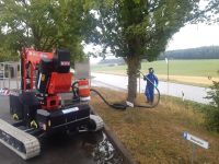 Eichenprozessionsspinner professionelle Bekämpfung Baden-Württemberg - Neuenstein Vorschau