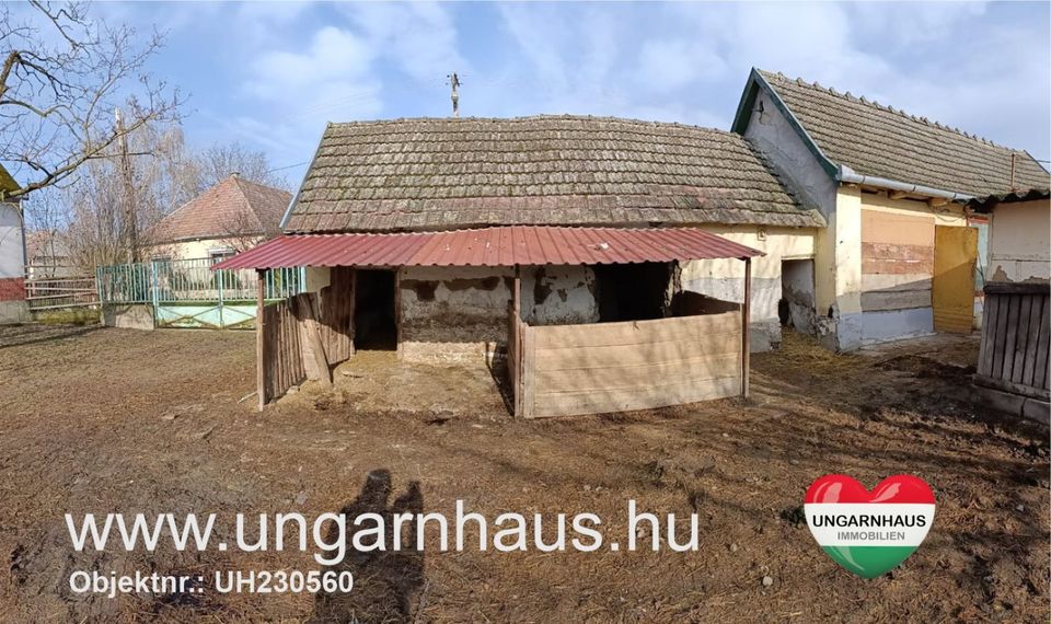 Haus in Ungarn , Südungarn renoviert ca. 2.100 qm, Tierhaltung möglich in Freudenberg