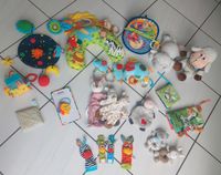 Baby Spielzeug *Top Zustand* Saarland - St. Ingbert Vorschau
