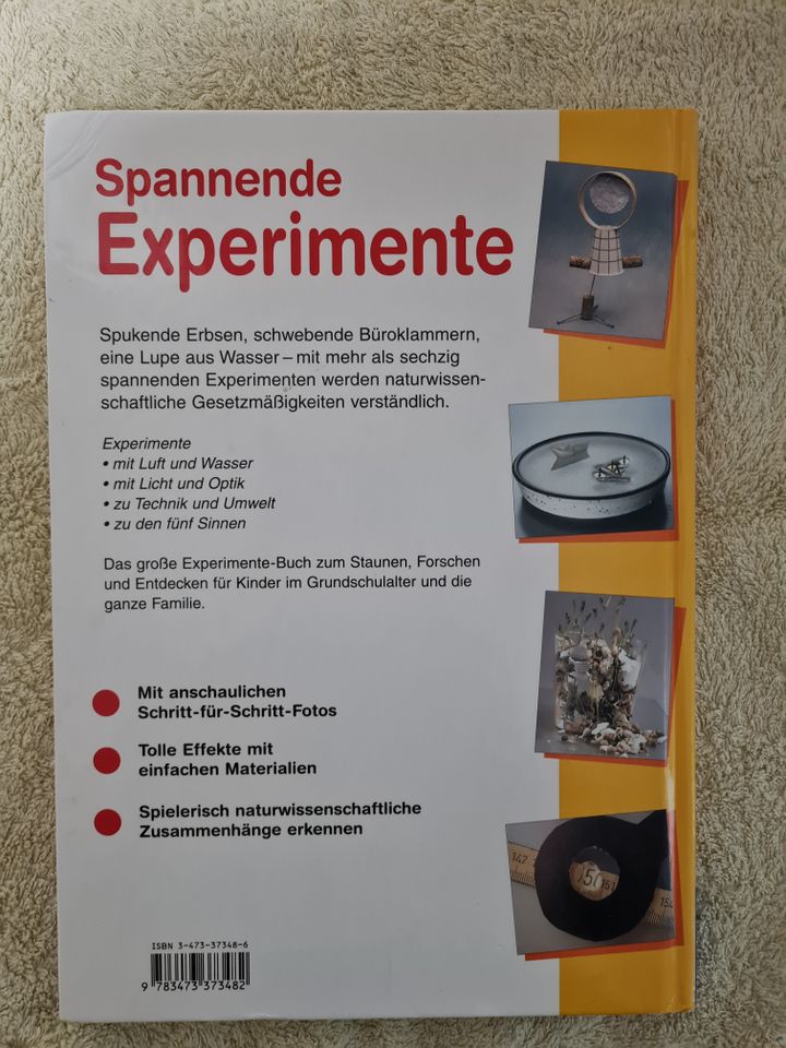 Buch "Spannende Experimente" Naturwissenschaft spielerisch in Frankfurt am Main