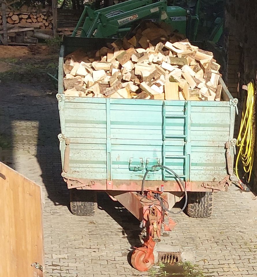 Brennholz Scheitholz 25 cm vorwiegend Buche vorgelagert in Hirzenhain