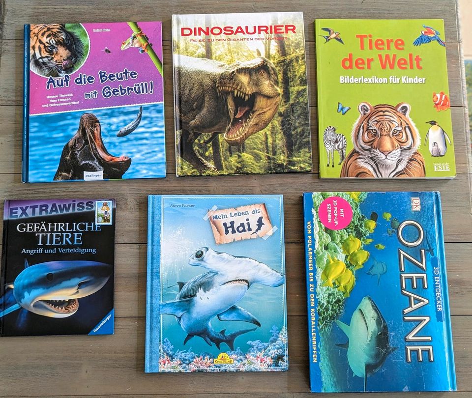 6 Tierbücher für Kinder....1 Pop Up Buch, Dinos, Haie usw in Boltenhagen