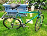 Trekkingfahrrad Herren Campus Voyager 2    21 Gänge  RH 60 Baden-Württemberg - Knittlingen Vorschau