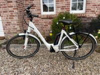 Winora E-Bike Kreis Ostholstein - Neustadt in Holstein Vorschau