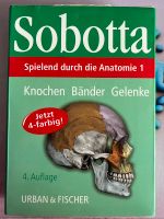 Anatomie Lernkarten Knochen, Bänder, Sehnen Herzogtum Lauenburg - Breitenfelde Vorschau