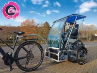 Elina´s Fahrwerk Le Camion Rollstuhl-Fahrrad Fahrrad-Anhänger  X Rheinland-Pfalz - Kirchen (Sieg) Vorschau