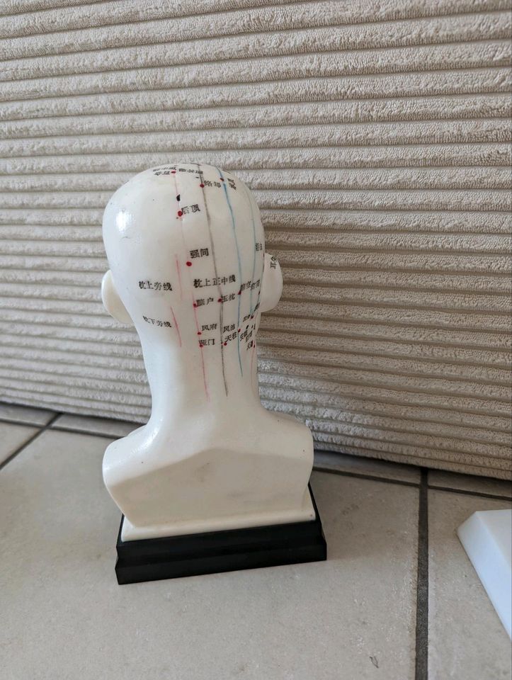 Akupunktur Model Körper & Kopf in Wäschenbeuren