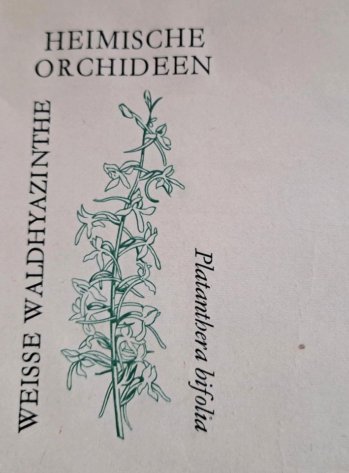 Briefmarken DDR - Heimische Orchideen in Steinach Baden