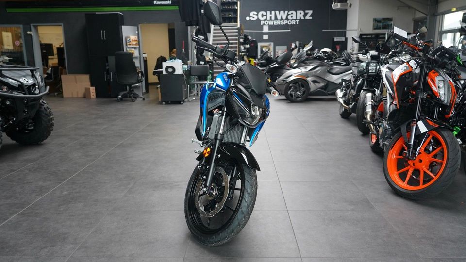 Suzuki GSX-S 125  B196 in Drakenburg