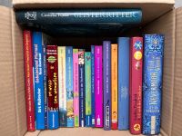 5 Bücherpaket (17 Stk.) Kinderbücher Nevermoore Fantasy ab 10J. Niedersachsen - Laatzen Vorschau