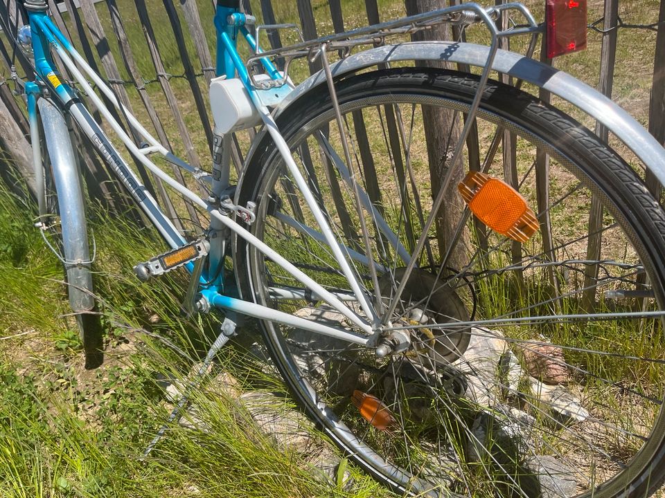 Condor Damenrad Fahrrad guter Zustand vintage retro in Stein (Probstei)