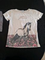 T-Shirt Pferde Nordrhein-Westfalen - Brilon Vorschau