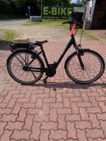 Herkules Roberta E-Bike Elektrofahrrad  500w/h Schleswig-Holstein - Flintbek Vorschau