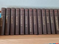 Die großen Klassiker Weltliteratur 36 Bände mit Farbbildern Baden-Württemberg - Konstanz Vorschau
