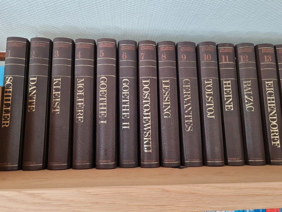 Die großen Klassiker Weltliteratur 36 Bände mit Farbbildern in Konstanz