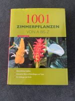 Zimmerpflanzen Buch Nordrhein-Westfalen - Eitorf Vorschau