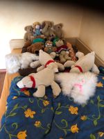 12Kuscheltiere , ! das Stück 3 Euro Nordrhein-Westfalen - Rosendahl Vorschau