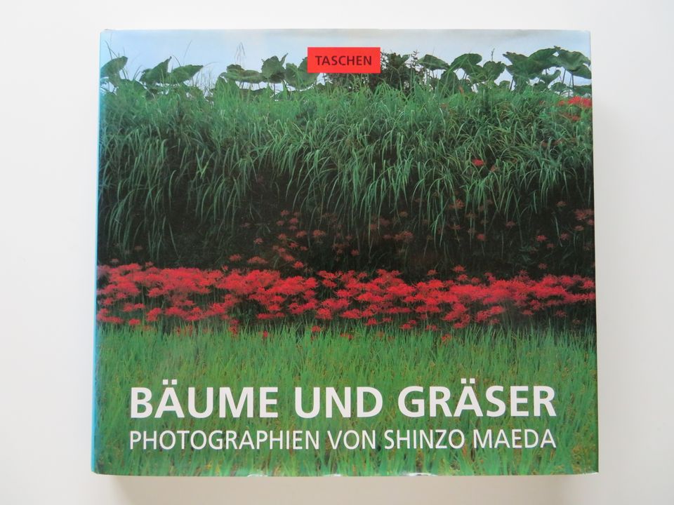 Bäume und Gräser Photographien von Shinzo Maeda in Bermatingen