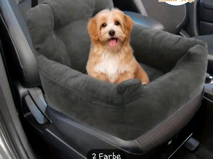 Hunde Autositz (Sessel) in Eisleben
