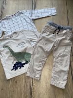 Next coole Boarder-Hose wie neu & 2 Dinosaurier Shirts in 92 Thüringen - Stützerbach Vorschau