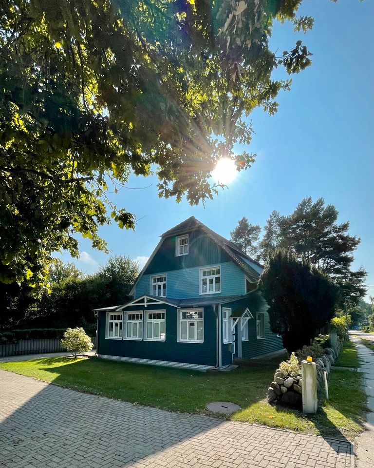 Freie Termine im Sommer! | Ostseebad Prerow in Prerow