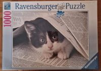 Ravensburger Puzzle 1000 Teile Katze Kätzchen OVP Hessen - Rödermark Vorschau