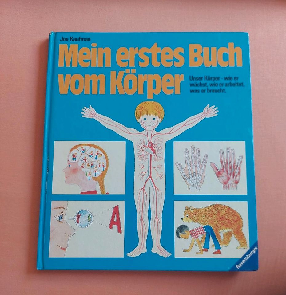 Mein erstes Buch vom Körper - Joe Kaufman in Weingarten (Baden)