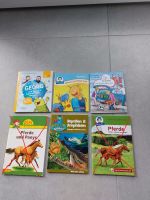 Große Pixi Bücher: Pferde, Reptilien, Ponys, GeoMini usw. Rheinland-Pfalz - Herdorf Vorschau