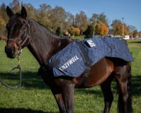 PFERDE-Applikator ENZYWELL "horse" Baden-Württemberg - Wald Vorschau