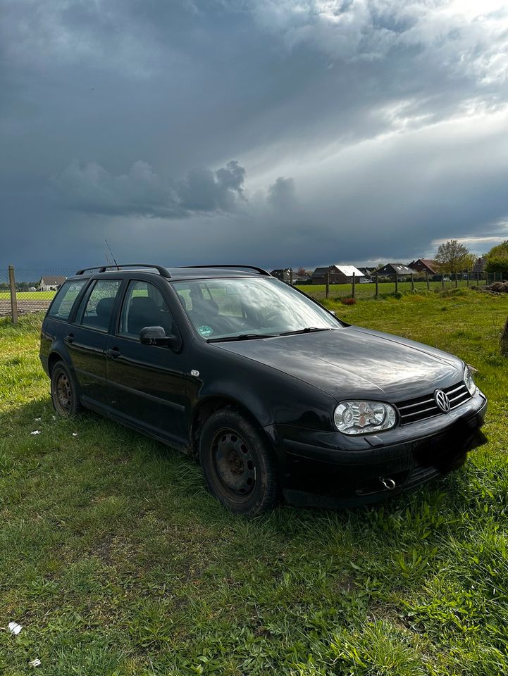 Golf 4 Variant 1,9tdi Xenon Getriebeschaden in Uelzen