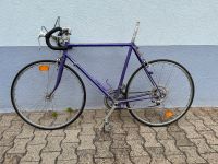 Retro Rennrad Baden-Württemberg - Neulußheim Vorschau