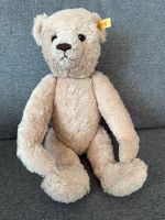 Steiff Teddybär Georgina 013164 Rheinland-Pfalz - Mainz Vorschau