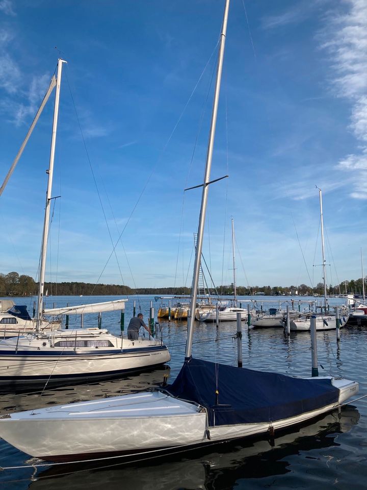 Segelboot ⛵️ Soling in Berlin