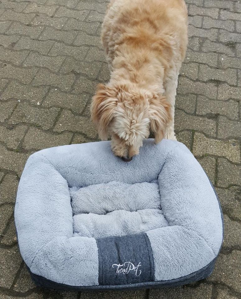 Hund Hunde Kuschel Bett Kissen kleine mittlere Tiere Zubehör Korb in Barntrup