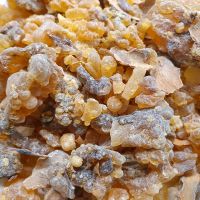 20 g Weihrauch Harz Amber Frankincense Oman Frankfurt am Main - Bockenheim Vorschau